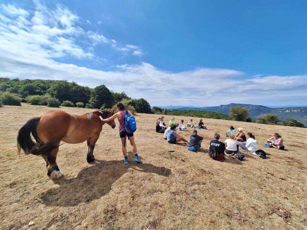 Scène lumineuse en plein air sur un plateau montagneux où une femme interagit avec un cheval au premier plan, et les participants à la retraite sont assis en cercle.