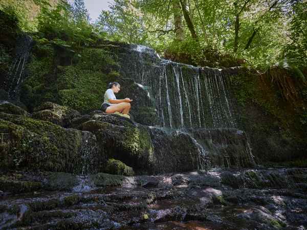 a person sitting in a tree