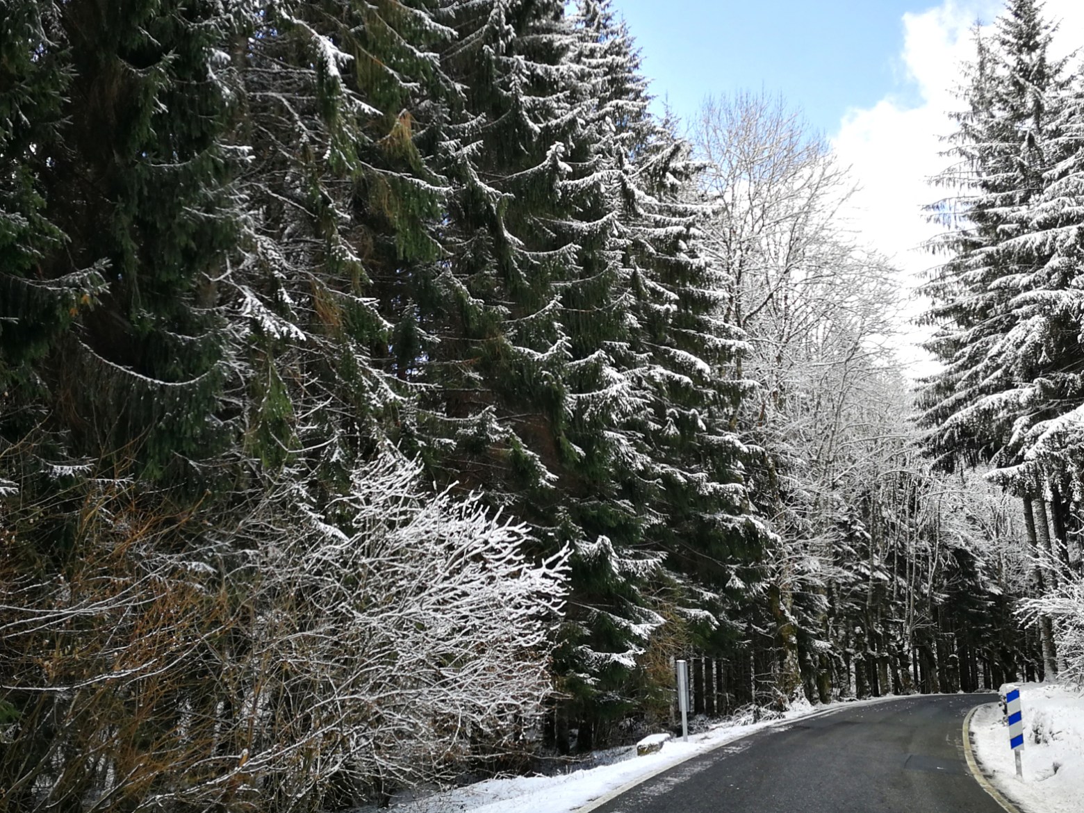 a man riding skis down a snow covered tree