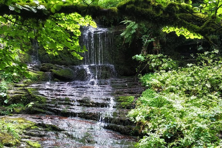 a waterfall in a forest