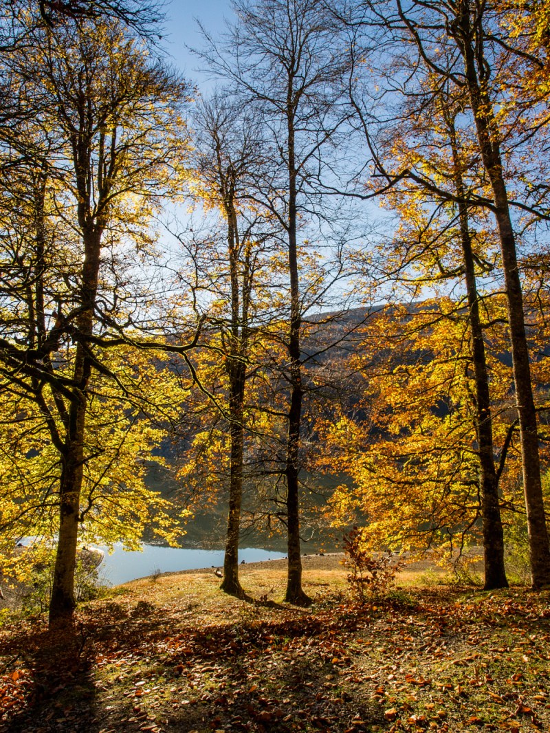 irati portada 2000 formato normal47 web