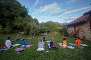a group of people sitting in a yard