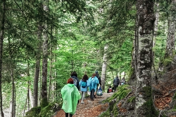 a group of people in a forest