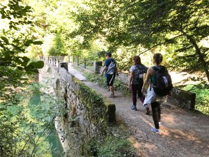 a group of people walking on a path next to a tree