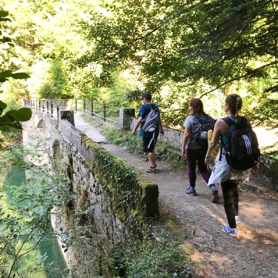 a group of people walking on a path next to a tree