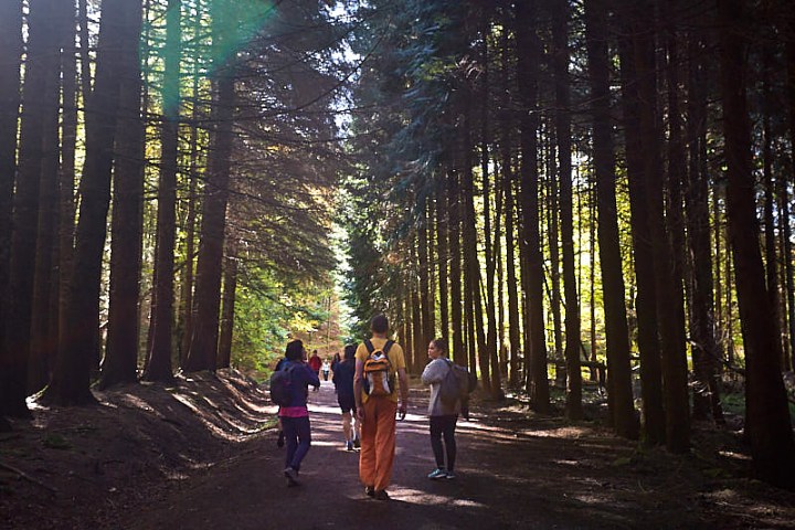a group of people standing next to a tree