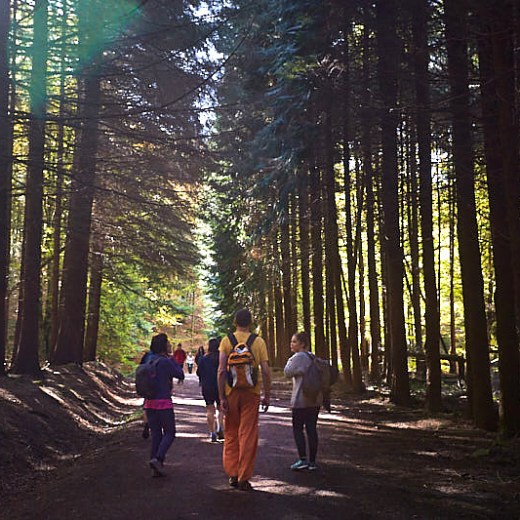 a group of people standing next to a tree