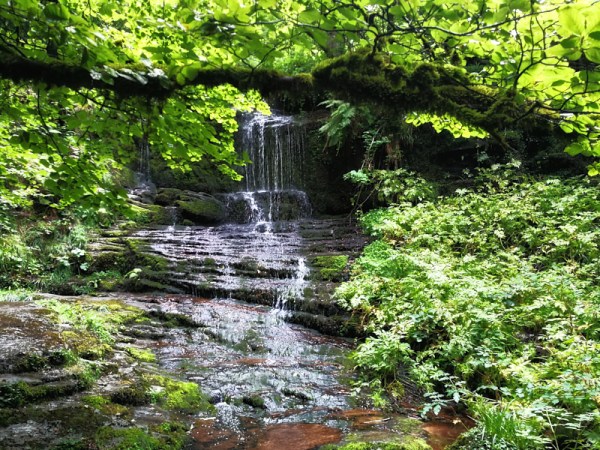 a waterfall in a forest