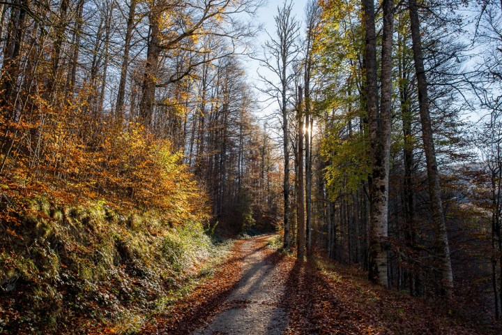 Retiro de Yoga y Meditación Pirineo-Caminar consciente