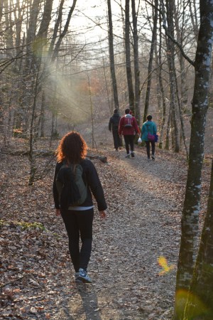 Baño de bosque en la selva de irati