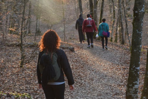 Baño de bosque en la selva de irati