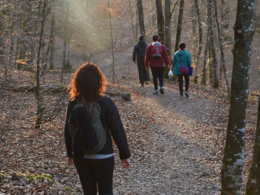 Baño de bosque en la selva de irati