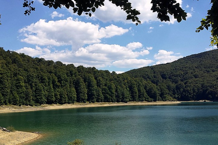 a body of water surrounded by trees