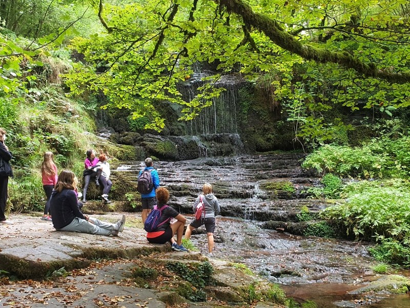 a group of people sitting in a tree