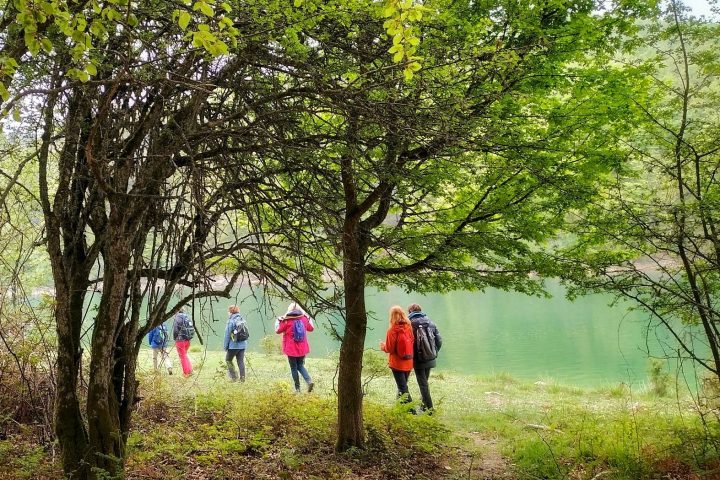 a group of people standing next to a tree