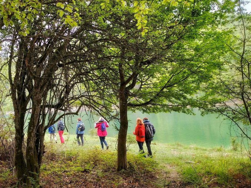 a group of people standing next to a tree