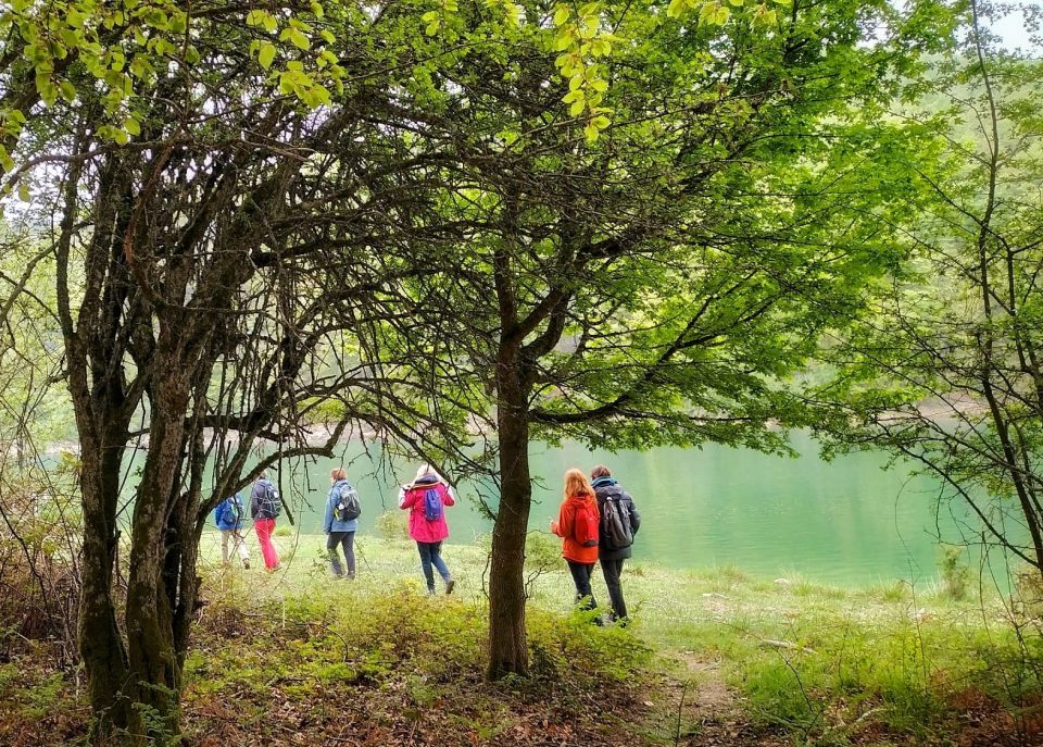 a group of people standing next to a tree