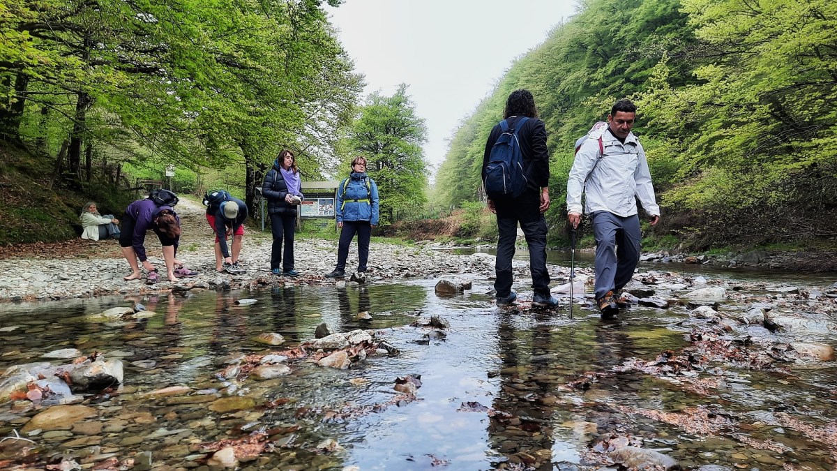 a group of people standing next to a tree