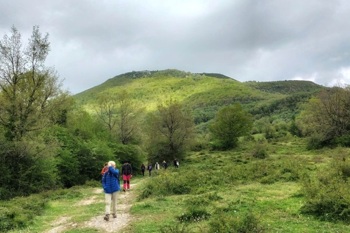 a person standing on a grassy hill