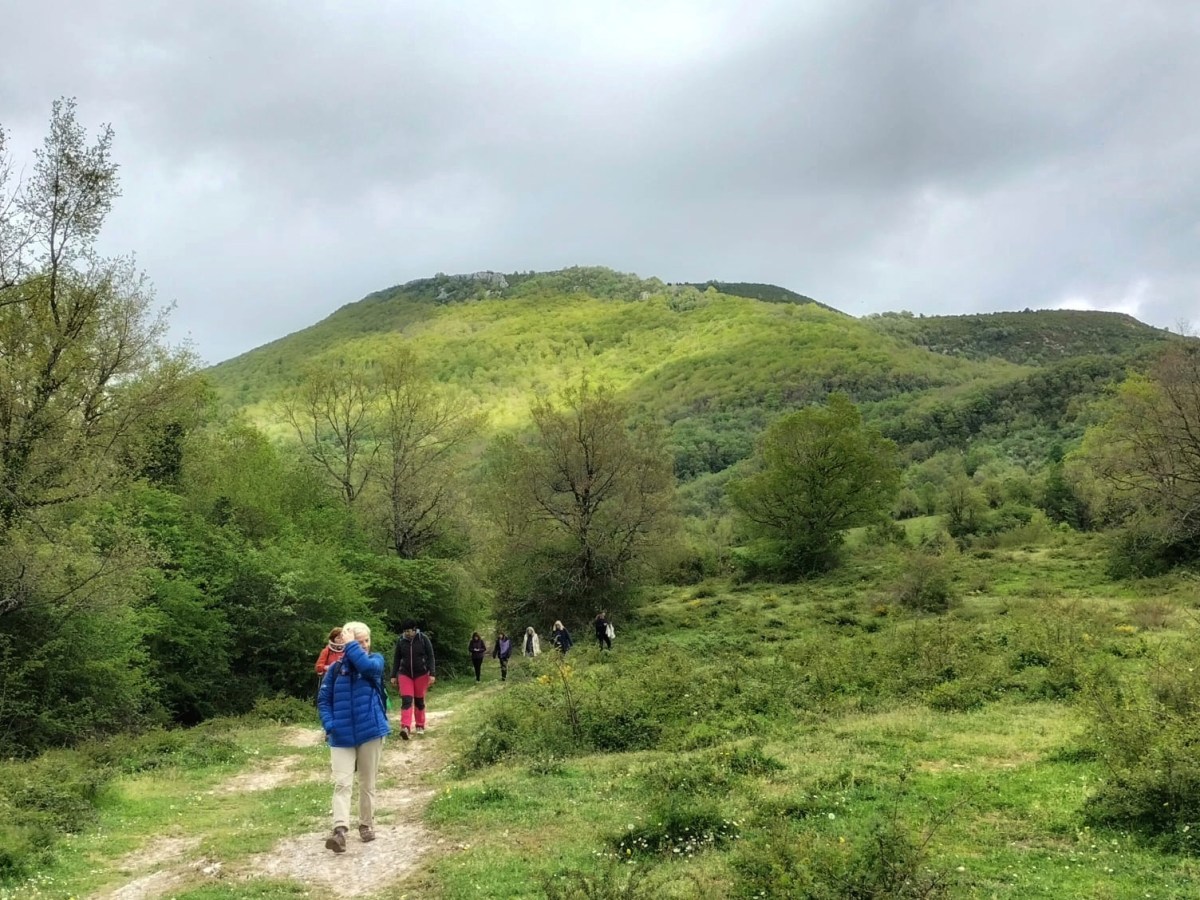 IMG-20230430-WA0026-01-01 a person standing on a grassy hill