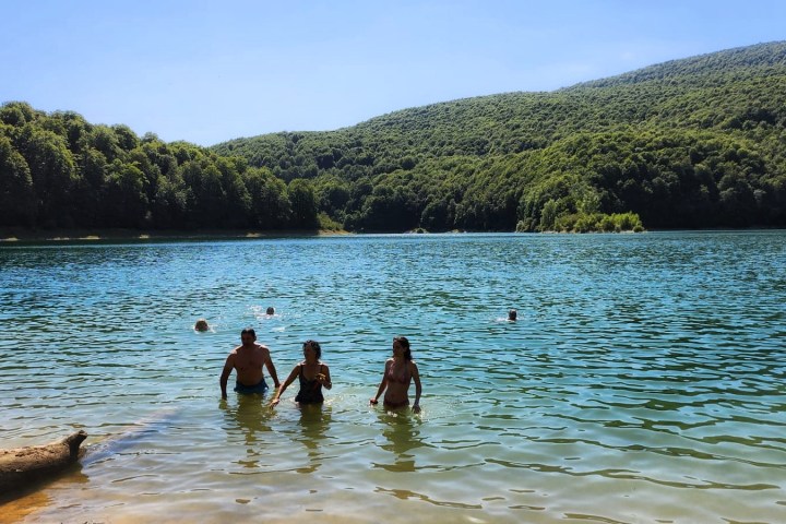 a group of people swimming in a body of water