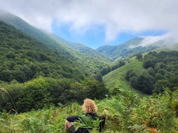 a garden with a mountain in the background