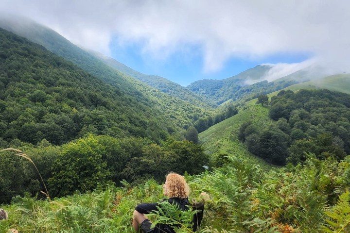 a garden with a mountain in the background
