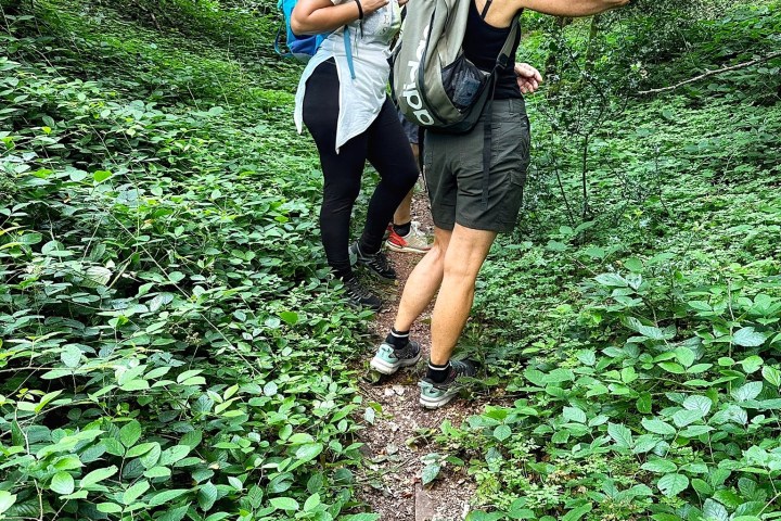 a group of people in a forest