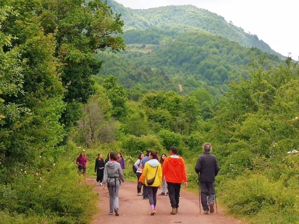 a group of people standing next to a tree