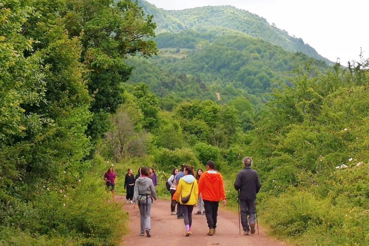 a group of people standing next to a tree