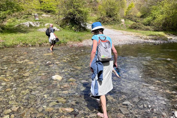 a group of people walking down a dirt road