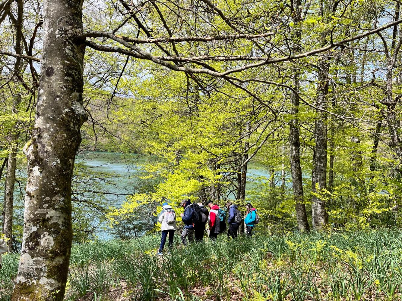 a group of people in a forest