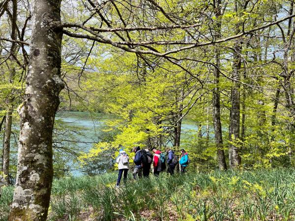 a group of people in a forest
