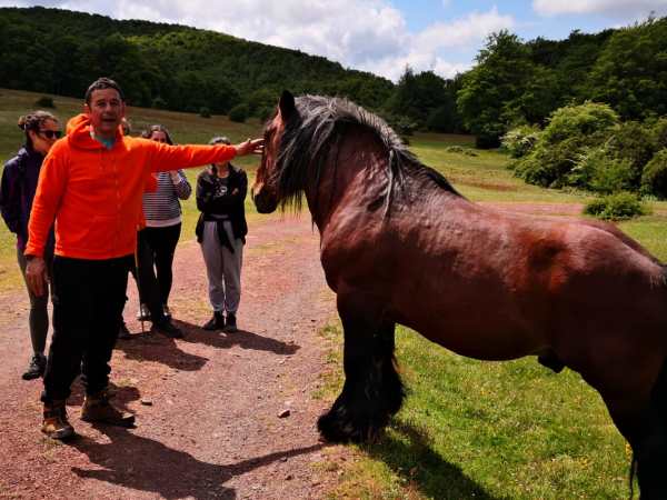 a man standing next to a horse