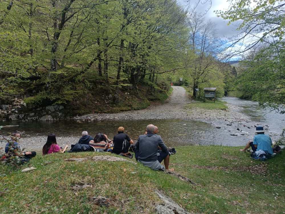 a group of people sitting at a park
