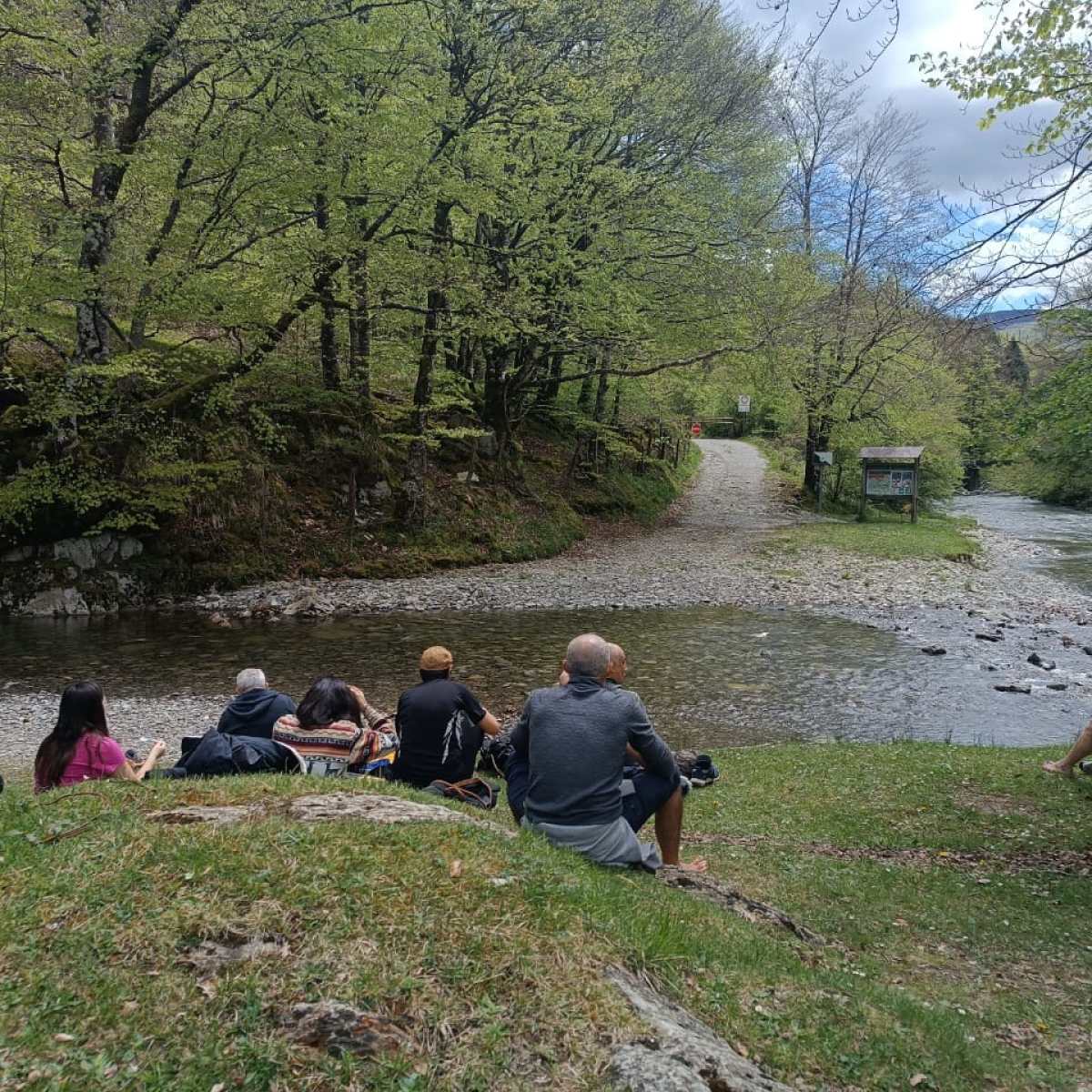 a group of people sitting at a park