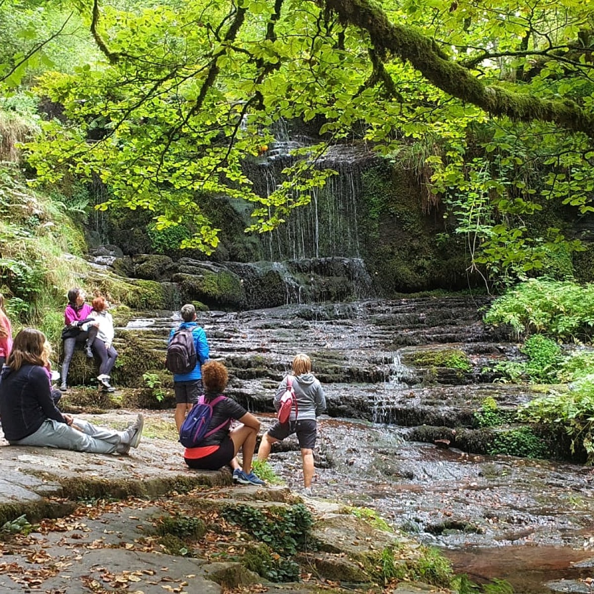 a group of people sitting in a tree