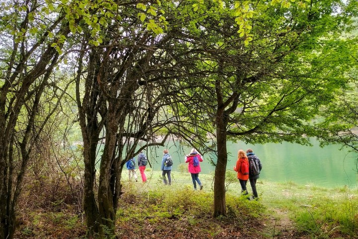 a group of people standing next to a tree