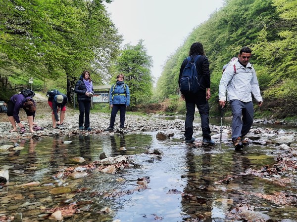 a group of people standing next to a tree