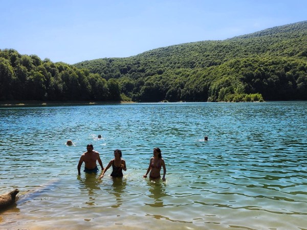 a group of people swimming in a body of water