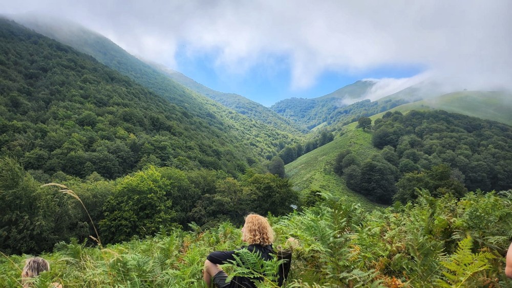 a garden with a mountain in the background