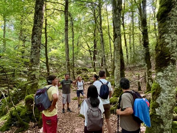 a group of people in a forest