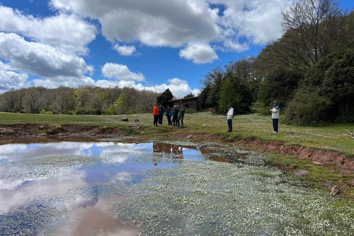 a group of people walking down a dirt road