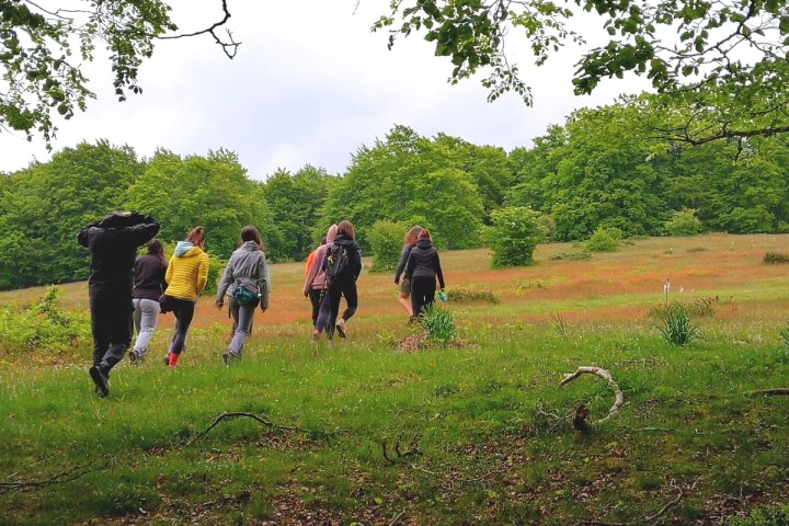 a group of people standing on a lush green field
