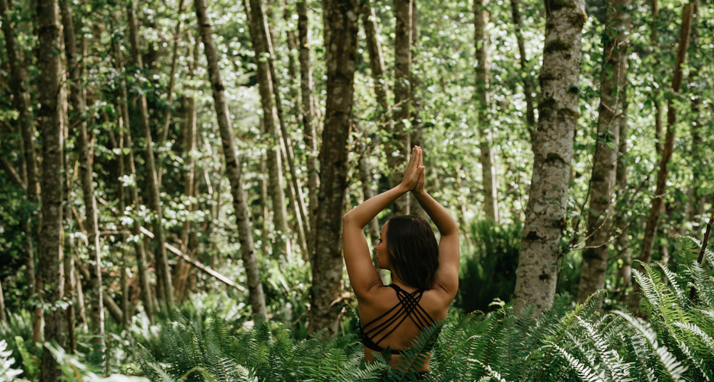 a person holding a plant in a forest